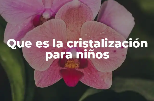 Que es la Cristalización para Niños