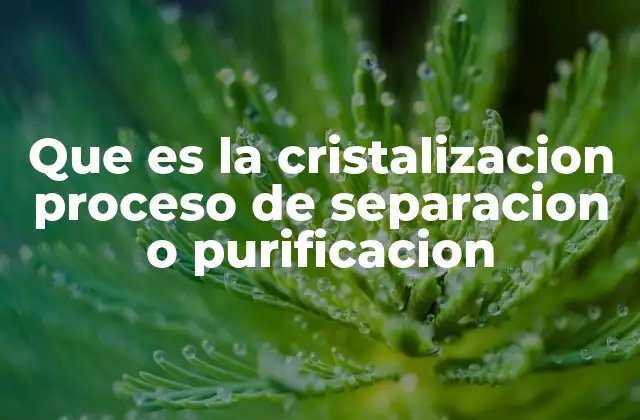 Que es la Cristalizacion Proceso de Separacion o Purificacion