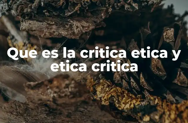 Que es la Critica Etica y Etica Critica