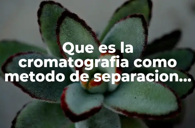 Que es la Cromatografia como Metodo de Separacion de Mezclas