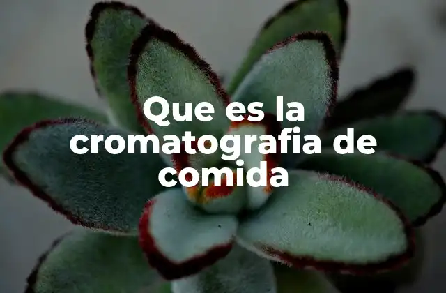 Que es la Cromatografia de Comida
