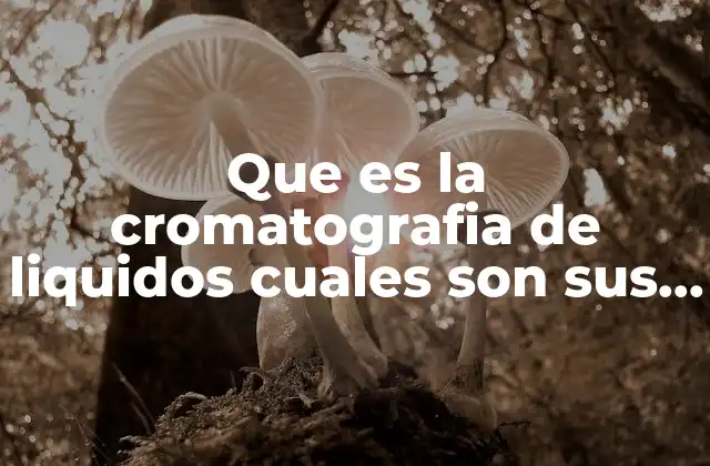Que es la Cromatografia de Liquidos Cuales Son Sus Componentes