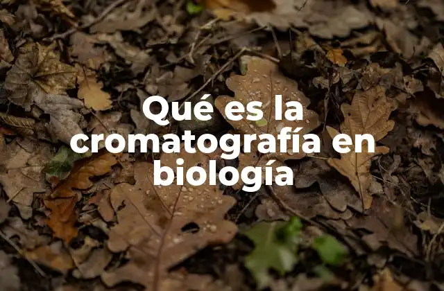 Qué es la Cromatografía en Biología