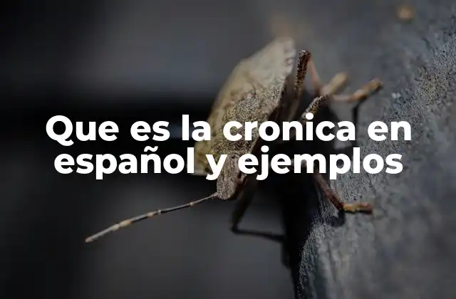 Que es la Cronica en Español y Ejemplos