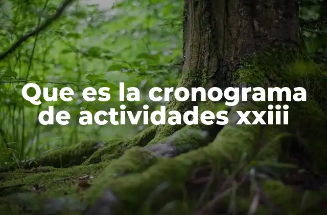 Que es la Cronograma de Actividades Xxiii