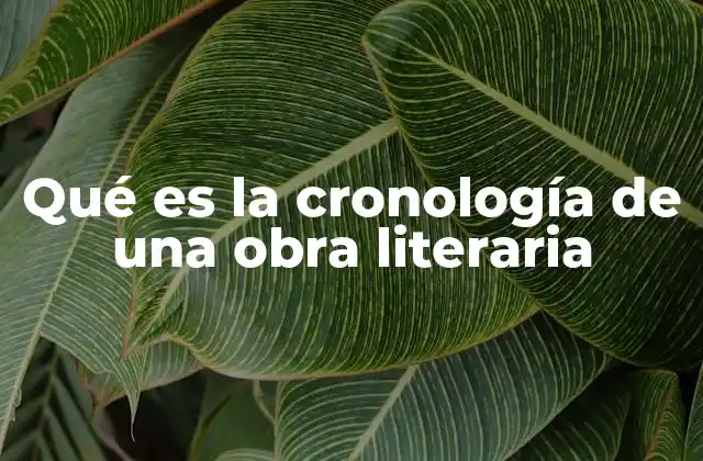Qué es la Cronología de una Obra Literaria 2 La organización temporal en la narrativa literaria