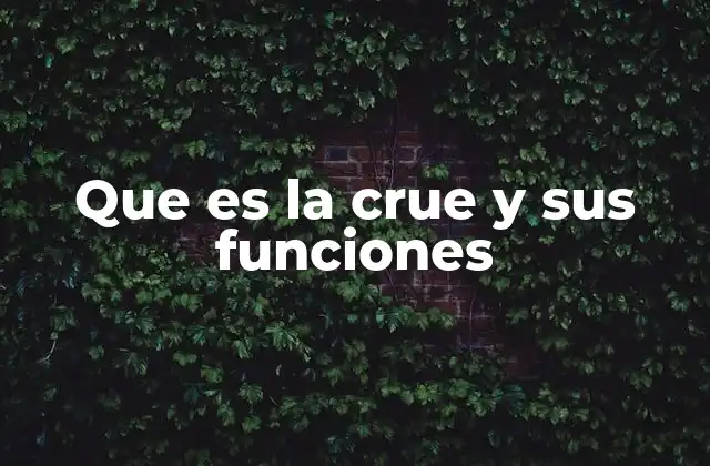 Que es la Crue y Sus Funciones