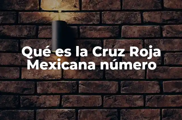 Qué es la Cruz Roja Mexicana Número