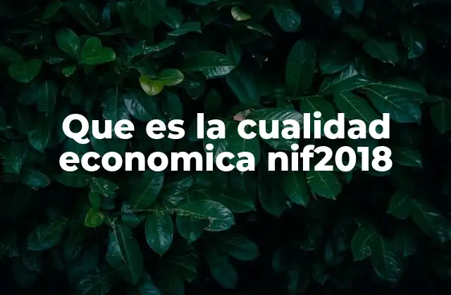 Que es la Cualidad Economica Nif2018