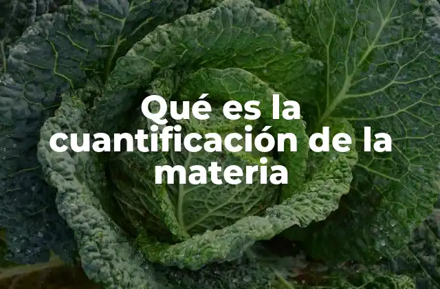 Qué es la Cuantificación de la Materia