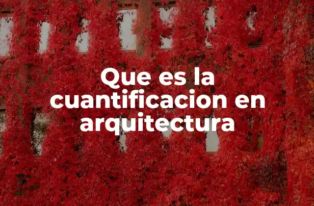 Que es la Cuantificacion en Arquitectura