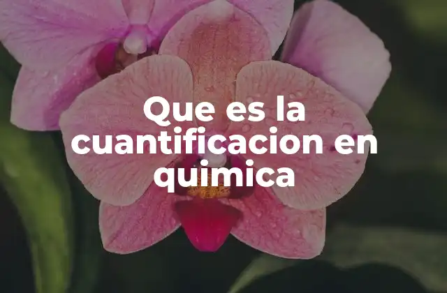 Que es la Cuantificacion en Quimica