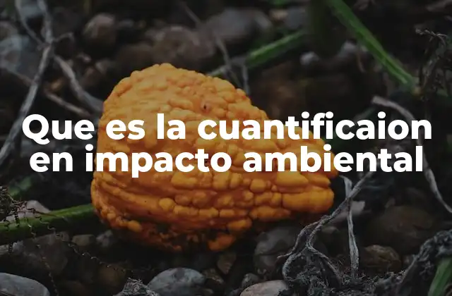 La importancia de medir los efectos ambientales