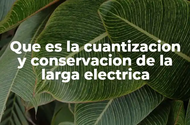 Que es la Cuantizacion y Conservacion de la Larga Electrica