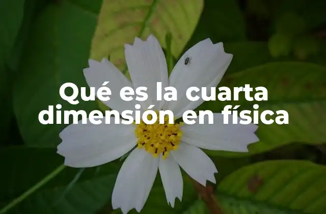 Qué es la Cuarta Dimensión en Física