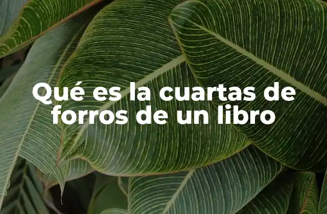 Qué es la Cuartas de Forros de un Libro