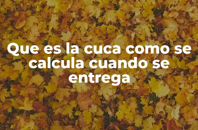 Que es la Cuca como Se Calcula Cuando Se Entrega 2 Cuándo se entrega la cuca y cómo afecta al salario anual