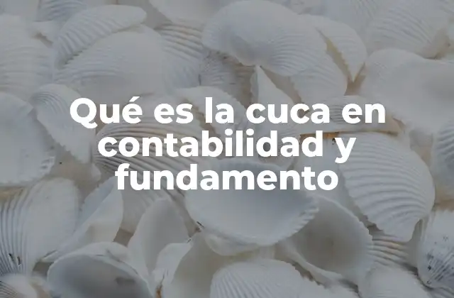 Qué es la Cuca en Contabilidad y Fundamento 2 El rol de las instituciones contables en la supervisión financiera