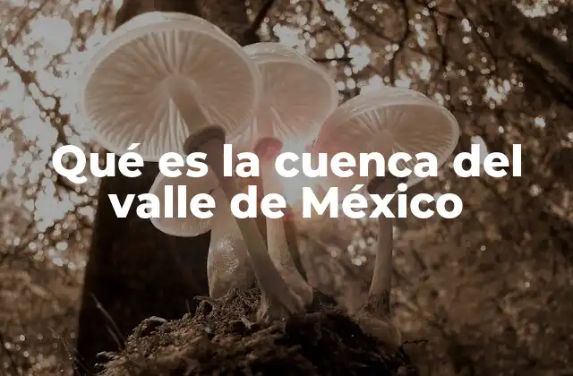 Qué es la Cuenca Del Valle de México