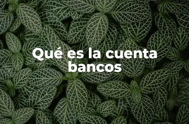 Qué es la Cuenta Bancos