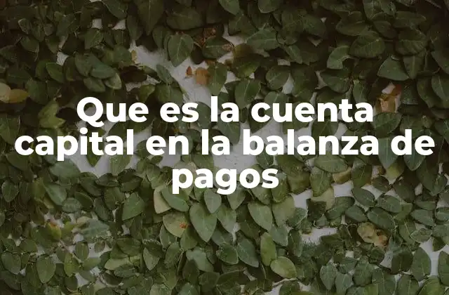 Que es la Cuenta Capital en la Balanza de Pagos