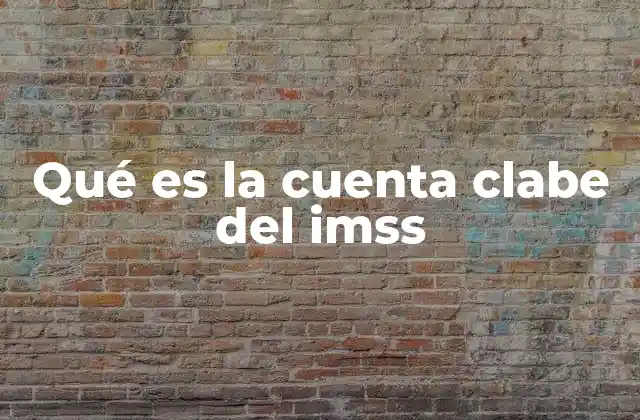 Qué es la Cuenta Clabe Del Imss