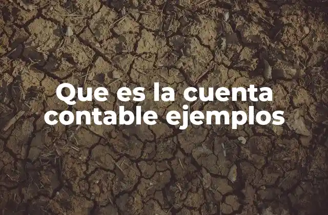 Que es la Cuenta Contable Ejemplos