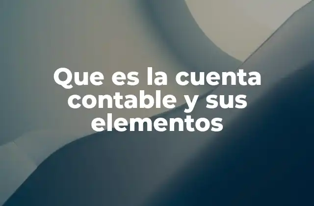 Que es la Cuenta Contable y Sus Elementos