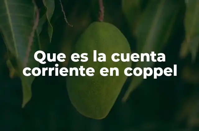 Que es la Cuenta Corriente en Coppel