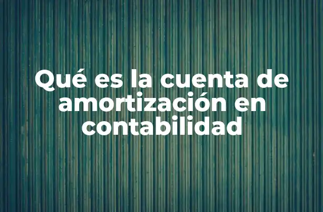 Qué es la Cuenta de Amortización en Contabilidad