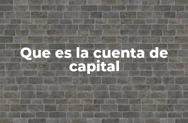 Que es la Cuenta de Capital 2 La importancia del capital en la estructura de una empresa