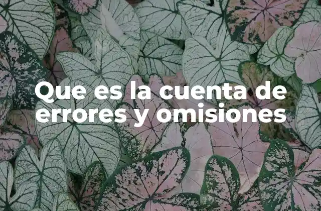 Que es la Cuenta de Errores y Omisiones