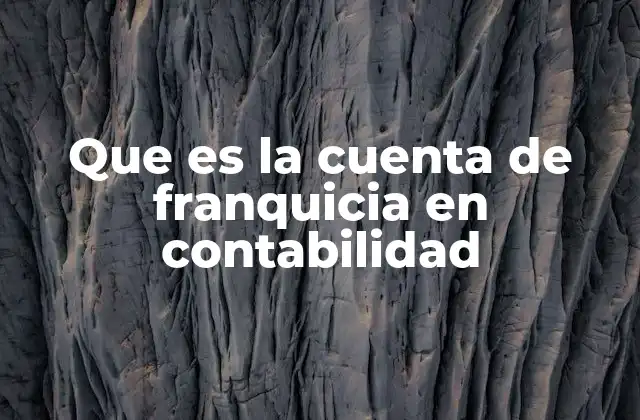 Que es la Cuenta de Franquicia en Contabilidad