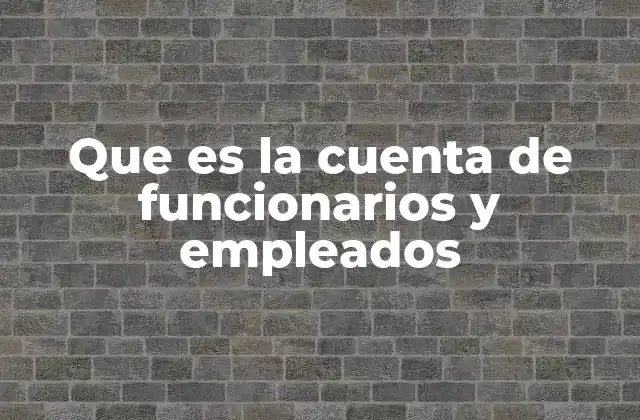 Que es la Cuenta de Funcionarios y Empleados