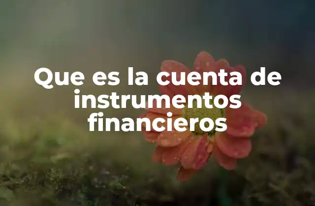 Que es la Cuenta de Instrumentos Financieros
