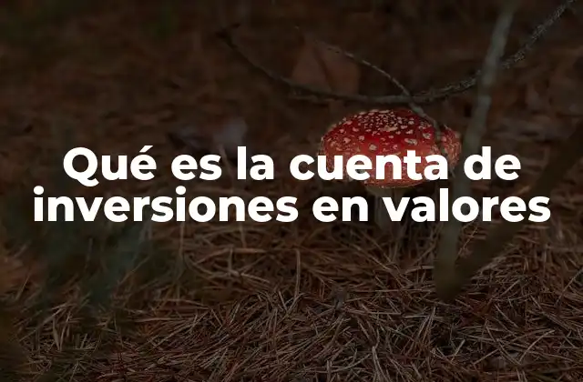 Qué es la Cuenta de Inversiones en Valores