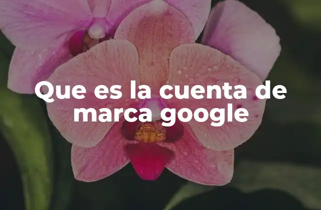 Que es la Cuenta de Marca Google 2 Ventajas de utilizar una cuenta de marca Google