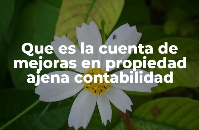 Que es la Cuenta de Mejoras en Propiedad Ajena Contabilidad