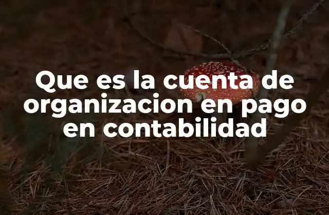 Que es la Cuenta de Organizacion en Pago en Contabilidad