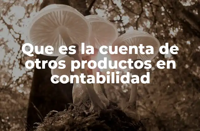 Que es la Cuenta de Otros Productos en Contabilidad