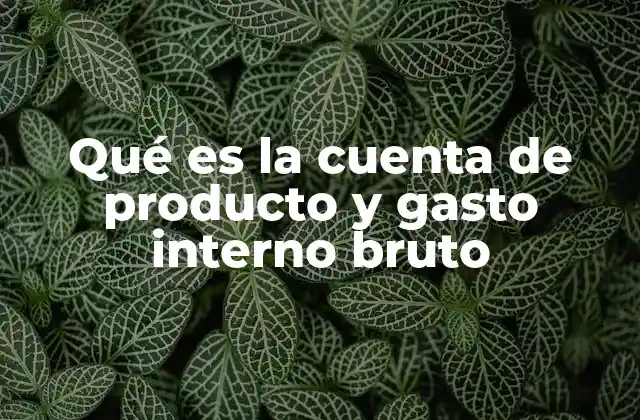 Qué es la Cuenta de Producto y Gasto Interno Bruto