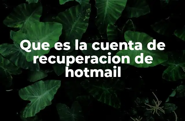 Que es la Cuenta de Recuperacion de Hotmail