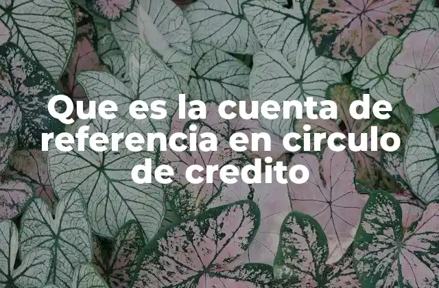 Que es la Cuenta de Referencia en Circulo de Credito