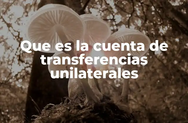 Que es la Cuenta de Transferencias Unilaterales