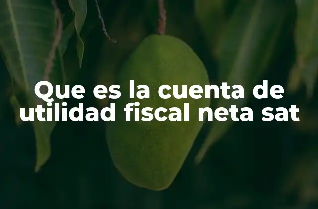 Que es la Cuenta de Utilidad Fiscal Neta Sat