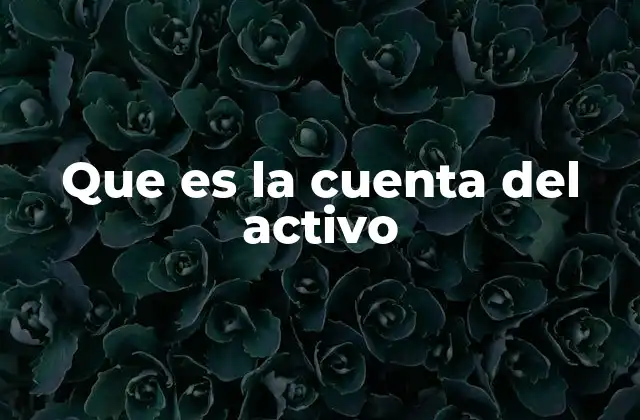 La importancia de la correcta clasificación de los activos