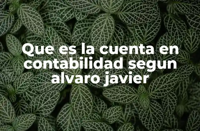 Que es la Cuenta en Contabilidad Segun Alvaro Javier