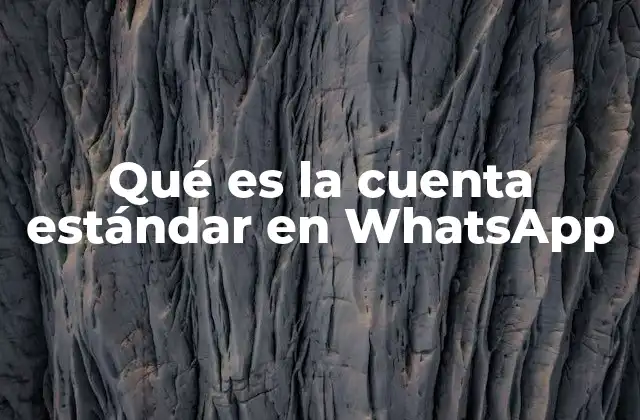 Qué es la Cuenta Estándar en Whatsapp