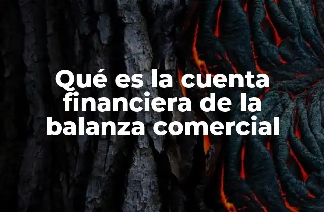 Qué es la Cuenta Financiera de la Balanza Comercial