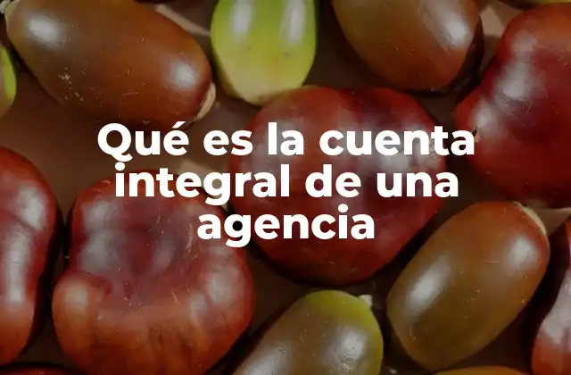 Qué es la Cuenta Integral de una Agencia
